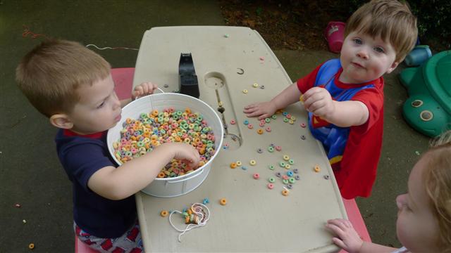 P1010485 (Small)